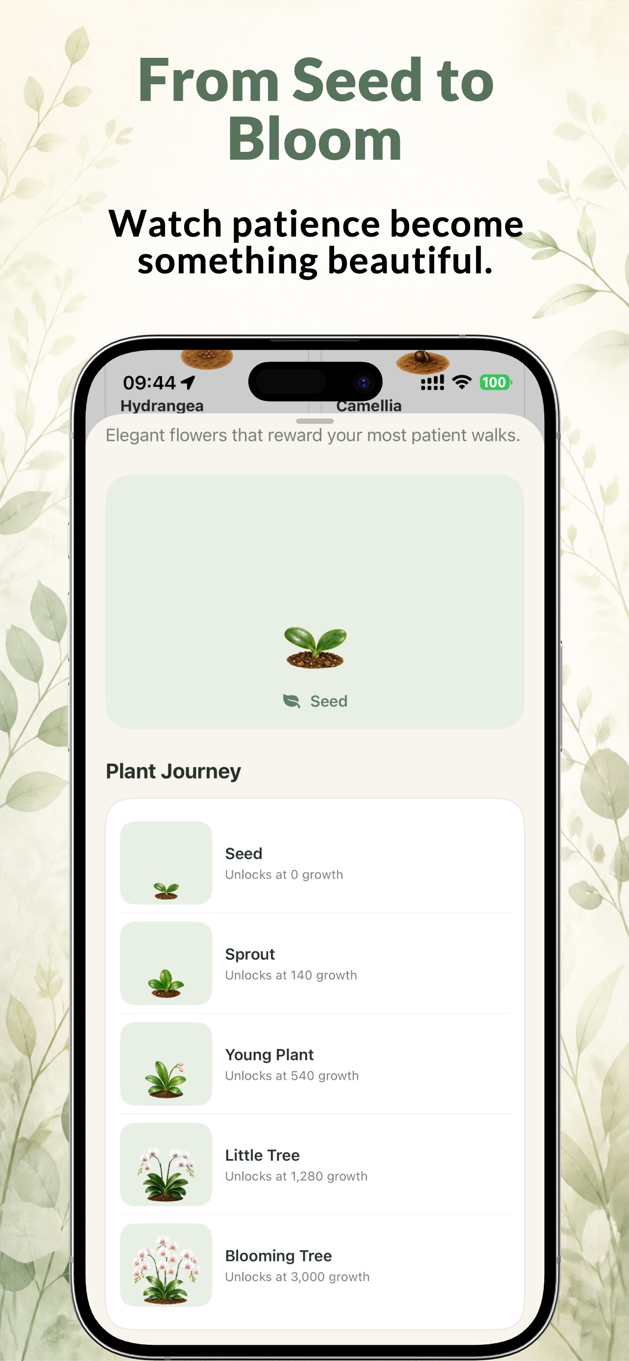 BloomStep: Walk & Grow 宣传截图 7